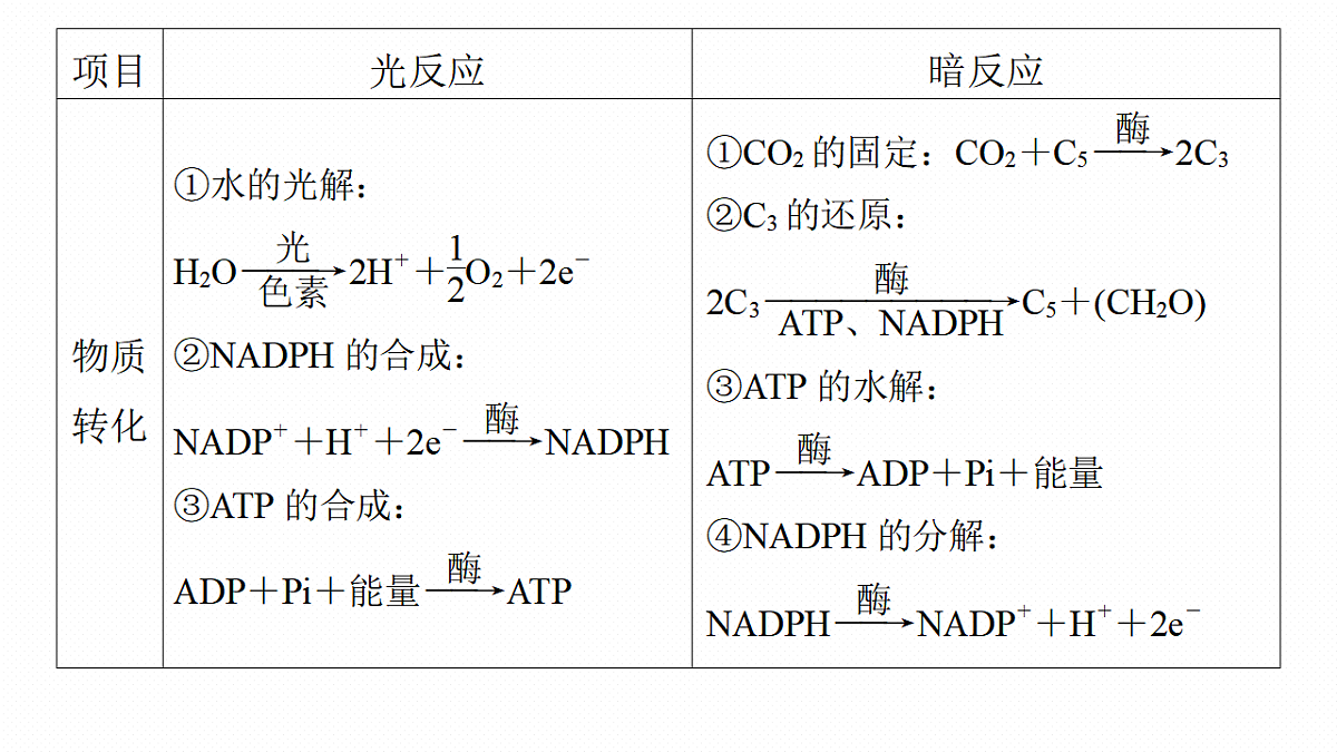 高考生物一轮复习课件-光合作用的原理第5页