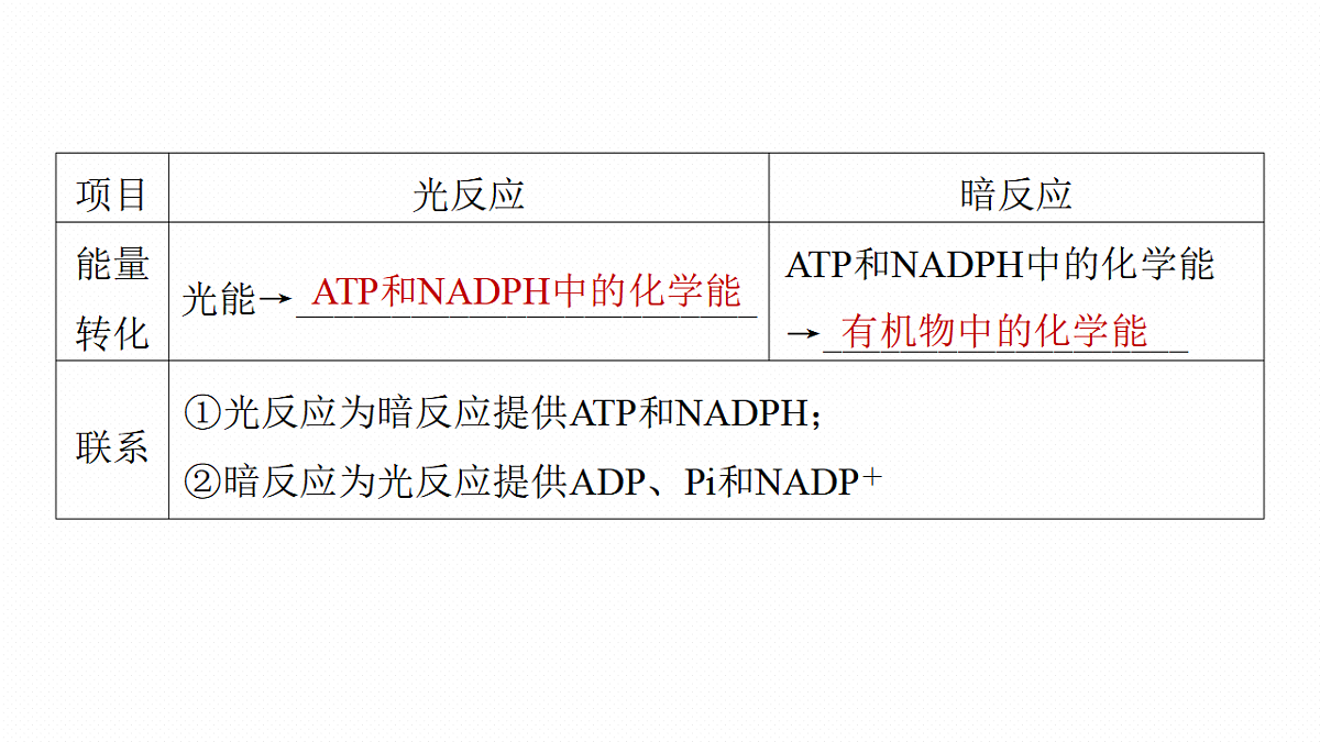高考生物一轮复习课件-光合作用的原理第6页