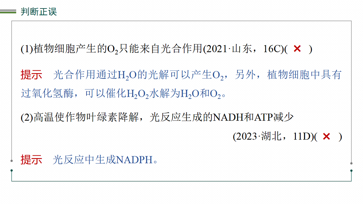 高考生物一轮复习课件-光合作用的原理第8页