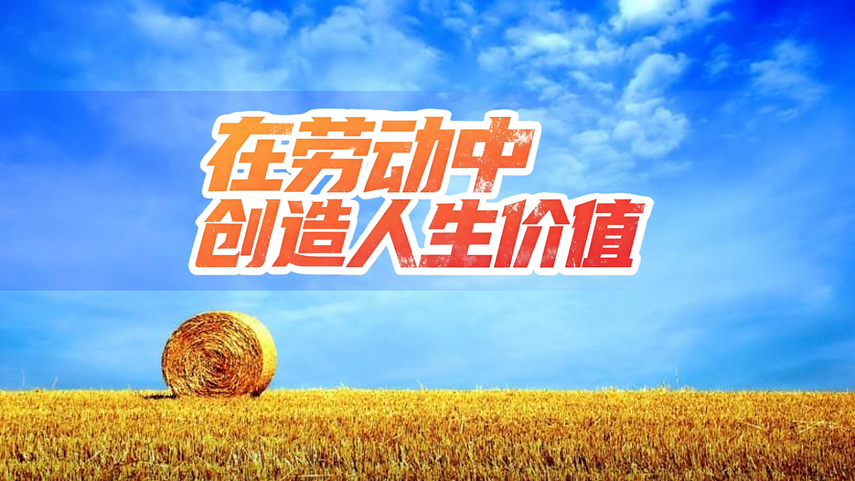13.1 在劳动中创造人生价值 课件-2025-2026学年统编版 道德与法治 七年级上册第2页