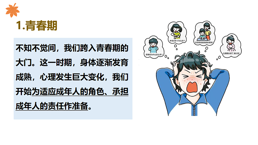 1.1 青春的邀约 课件-2025-2026学年统编版道德与法治七年级下册 (5)第8页