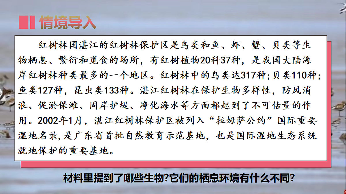 1.1.1 瑙傚療鍛ㄨ竟鐜涓殑鐢熺墿-璇句欢2025--2026瀛﹀勾 涓冨勾绾х敓鐗┞蜂笂鍐岋紙浜烘暀鐗堬級 (1)第5页