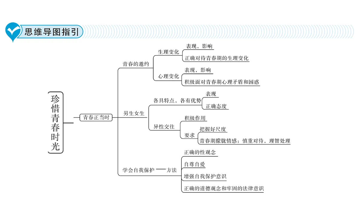 第一单元 珍惜青春时光 复习课件-2025-2026学年统编版道德与法治七年级下册第3页