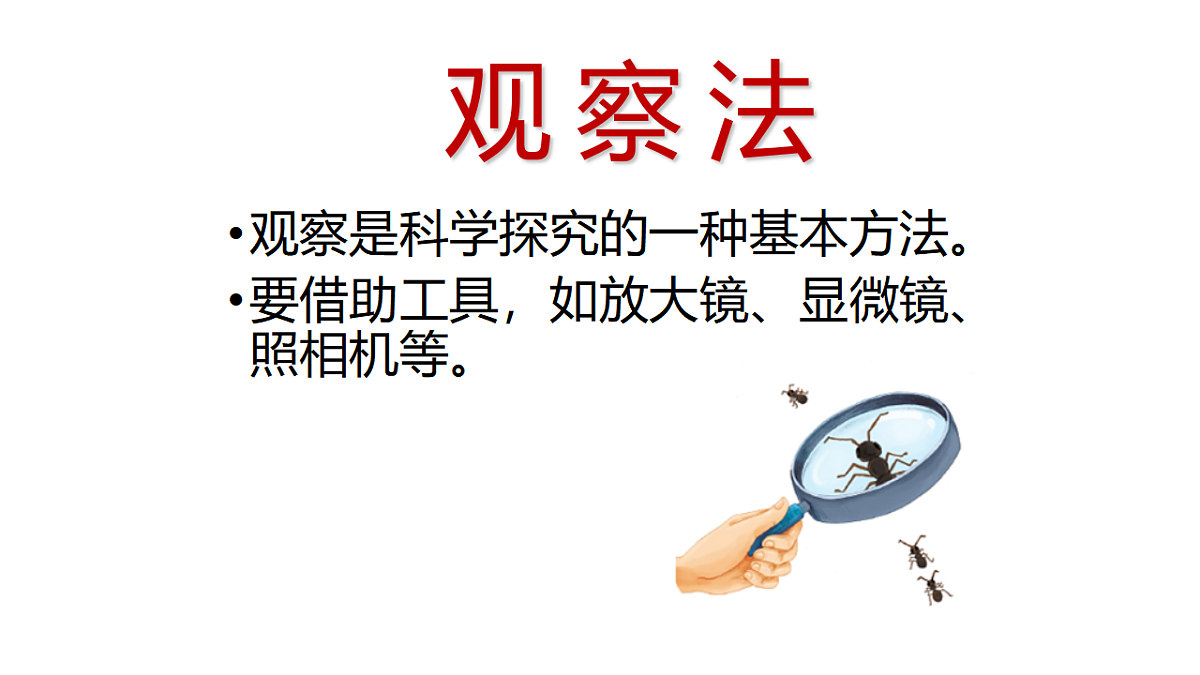人教版初中生物七年级上册（2024）1.1.2 生物的特征 课件第4页