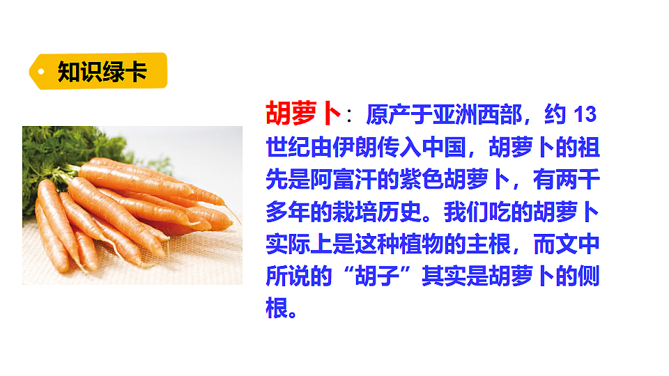 2026年统编版语文三下 16 胡萝卜先生的长胡子（课件）第4页