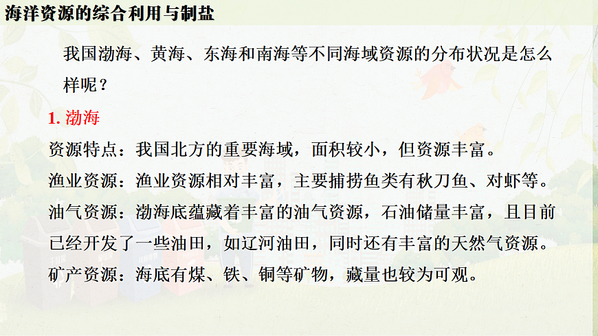 人教版九年级化学下册教学课件《第九单元 跨学科实践活动8：海洋资源的综合利用与制盐》第6页