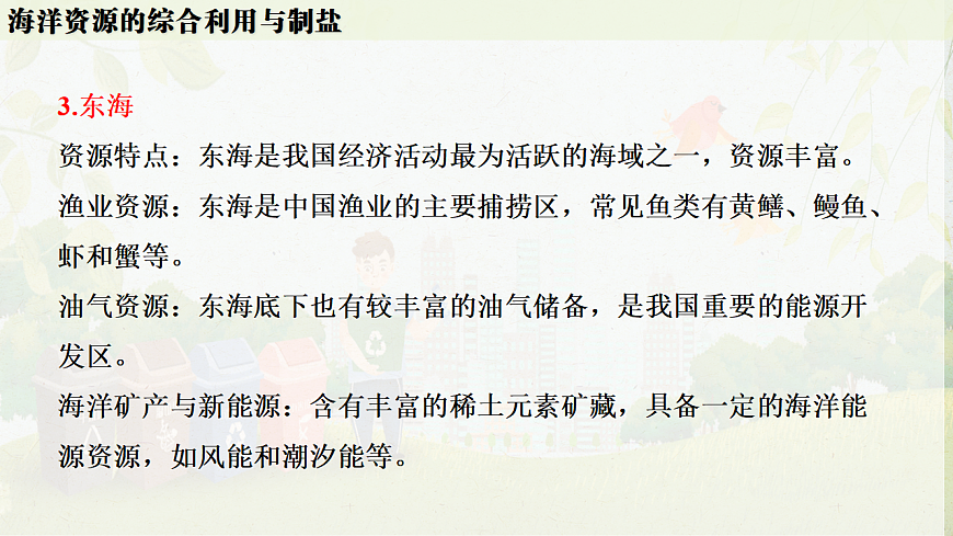 人教版九年级化学下册教学课件《第九单元 跨学科实践活动8：海洋资源的综合利用与制盐》第8页