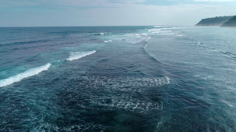 9 海底世界 课件2025-2026学年度统编版语文三年级下册第3页