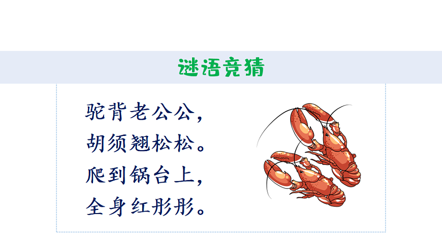 11 小虾 课件2025-2026学年度统编版语文三年级下册第2页