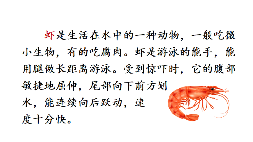 11 小虾 课件2025-2026学年度统编版语文三年级下册第3页