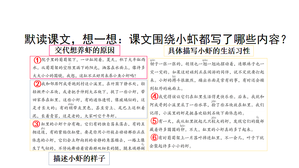 11 小虾 课件2025-2026学年度统编版语文三年级下册第7页