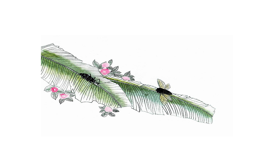 18  童年的水墨画 课件2025-2026学年度统编版语文三年级下册第5页