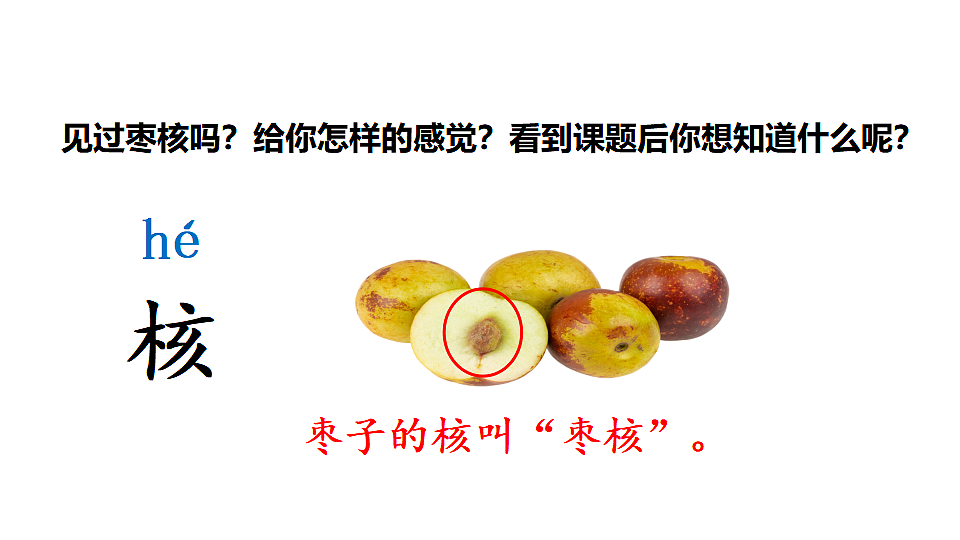 27  枣核 课件2025-2026学年度统编版语文三年级下册第3页