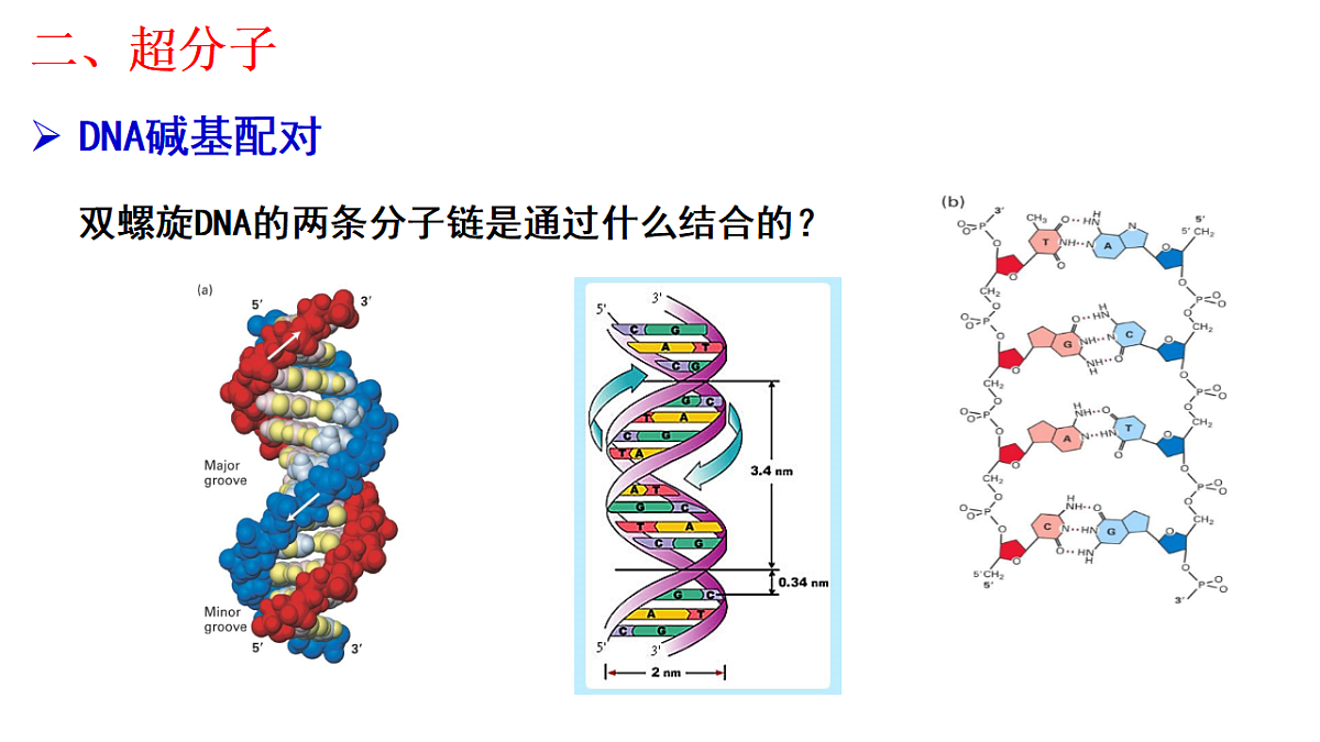 2025-2026年高二化学人教版（2019）选择性必修2 课件 第三章 第四节配合物与超分子第二课时第2页
