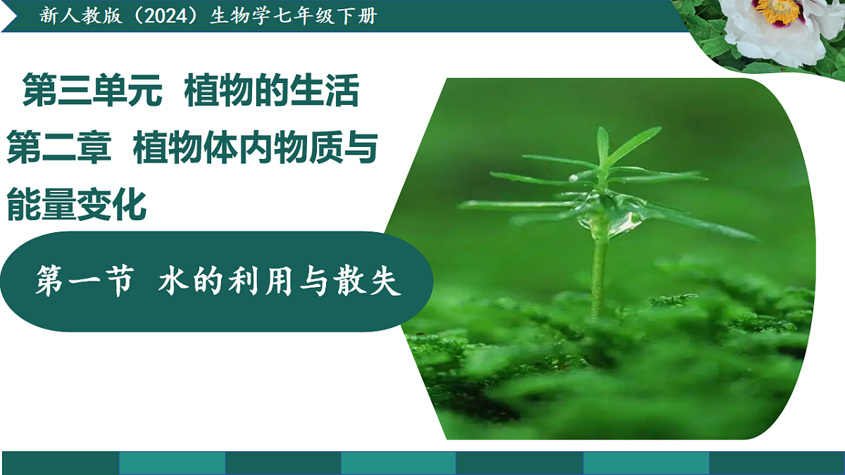 第三单元 3.2.1 水的利用与散失（教学课件）-2025-2026学年七年级生物下册（人教版2024）第1页