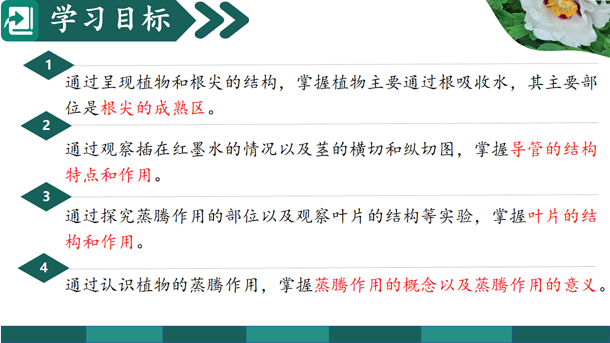 第三单元 3.2.1 水的利用与散失（教学课件）-2025-2026学年七年级生物下册（人教版2024）第2页
