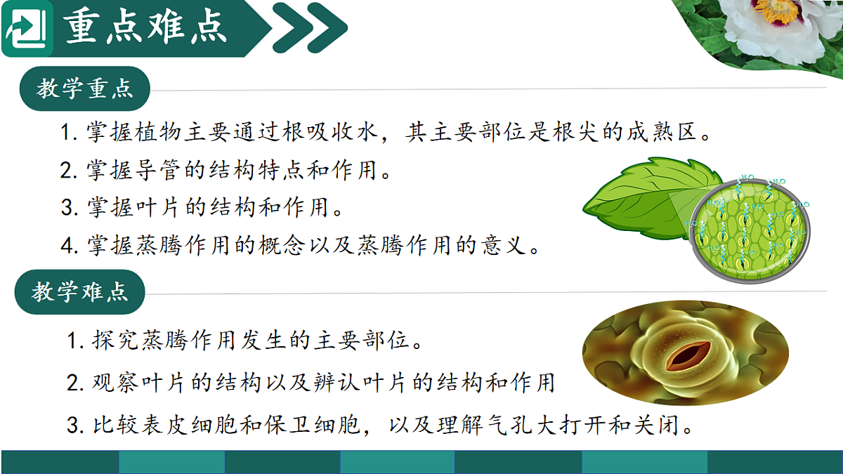 第三单元 3.2.1 水的利用与散失（教学课件）-2025-2026学年七年级生物下册（人教版2024）第3页