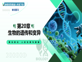 第6单元 第20章  生物的遗传和变异（复习课件）-2025-2026学年八年级生物下册（苏教版2024）