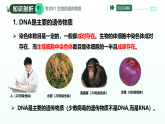 第6单元 第20章  生物的遗传和变异（复习课件）-2025-2026学年八年级生物下册（苏教版2024）
