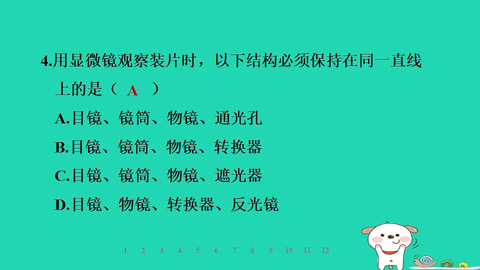 2025七年级生物上册第一单元生物体的结构层次第一章细胞第一节显微镜的使用习题课件冀少版（含答案）第5页