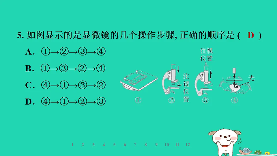 2025七年级生物上册第一单元生物体的结构层次第一章细胞第一节显微镜的使用习题课件冀少版（含答案）第6页