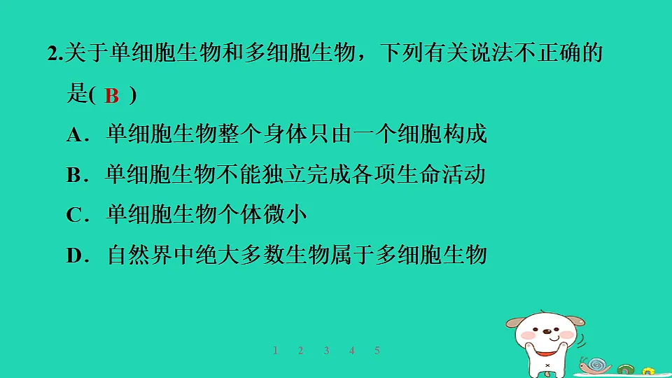 2025七年级生物上册第一单元生物体的结构层次第一章细胞第二节细胞的形态习题课件冀少版（含答案）第4页