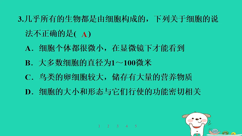 2025七年级生物上册第一单元生物体的结构层次第一章细胞第二节细胞的形态习题课件冀少版（含答案）第5页