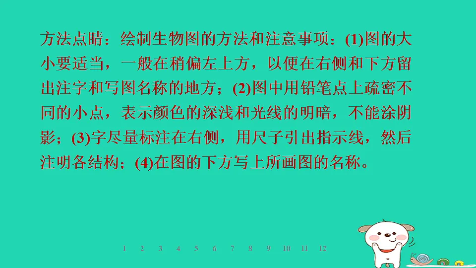 2025七年级生物上册第一单元生物体的结构层次第一章细胞第三节细胞的结构习题课件冀少版（含答案）第7页