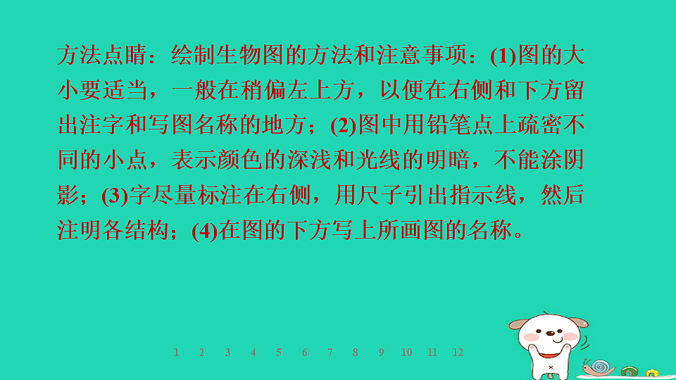 2025七年级生物上册第一单元生物体的结构层次第一章细胞第三节细胞的结构习题课件冀少版（含答案）第7页