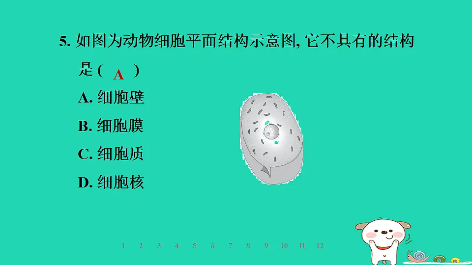 2025七年级生物上册第一单元生物体的结构层次第一章细胞第三节细胞的结构习题课件冀少版（含答案）第8页