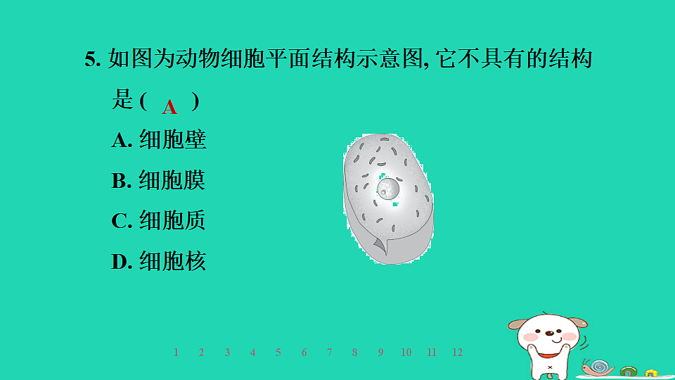 2025七年级生物上册第一单元生物体的结构层次第一章细胞第三节细胞的结构习题课件冀少版（含答案）第8页