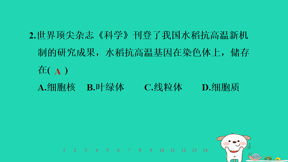 2025七年级生物上册第一单元生物体的结构层次第一章细胞第四节细胞的生命活动习题课件冀少版（含答案）第4页