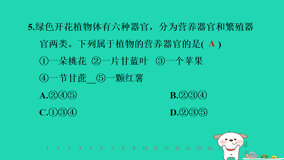 2025七年级生物上册第一单元生物体的结构层次第二章组织器官系统和生物体第三节器官和系统习题课件冀少版（含答案）第7页