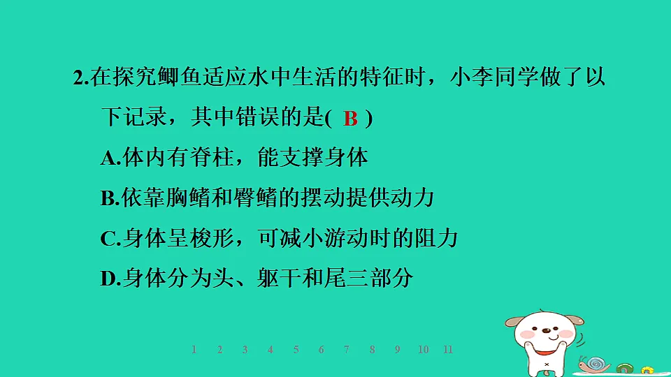 2025七年级生物上册第二单元生物的多样性第一章藻类植物和动物第四节脊椎动物第一课时鱼类习题课件冀少版（含答案）第4页