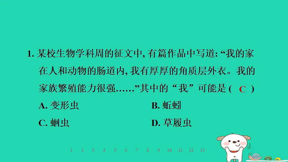2025七年级生物上册第二单元第一章第三节无脊椎动物第一课时线虫动物和环节动物习题课件冀少版（含答案）第3页