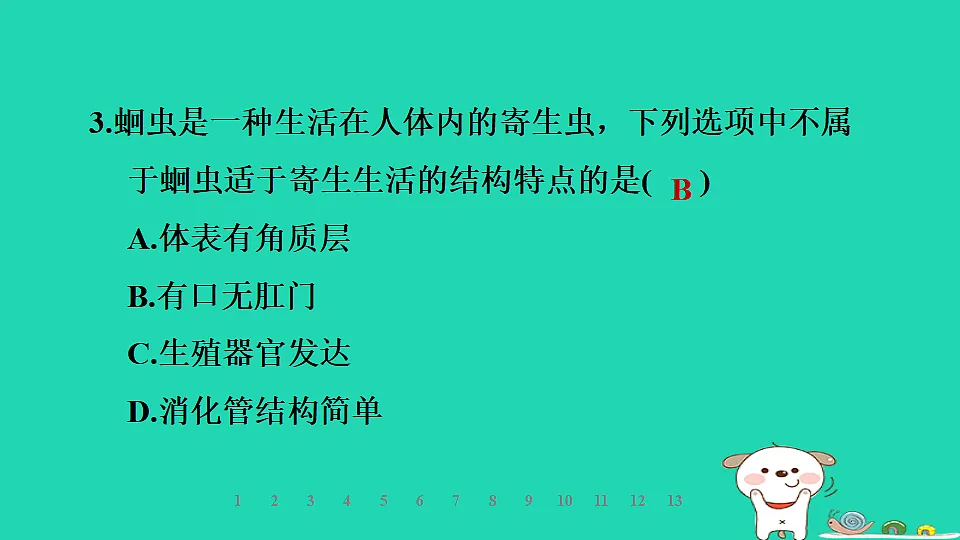 2025七年级生物上册第二单元第一章第三节无脊椎动物第一课时线虫动物和环节动物习题课件冀少版（含答案）第5页