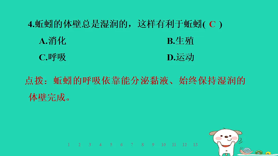 2025七年级生物上册第二单元第一章第三节无脊椎动物第一课时线虫动物和环节动物习题课件冀少版（含答案）第6页