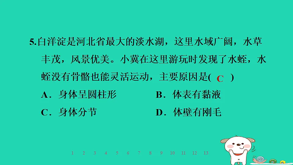 2025七年级生物上册第二单元第一章第三节无脊椎动物第一课时线虫动物和环节动物习题课件冀少版（含答案）第7页