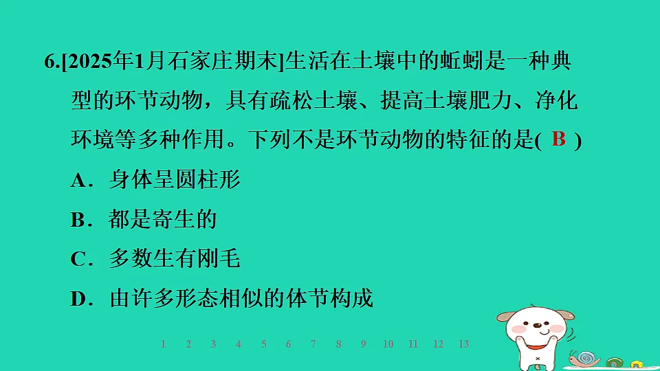 2025七年级生物上册第二单元第一章第三节无脊椎动物第一课时线虫动物和环节动物习题课件冀少版（含答案）第8页
