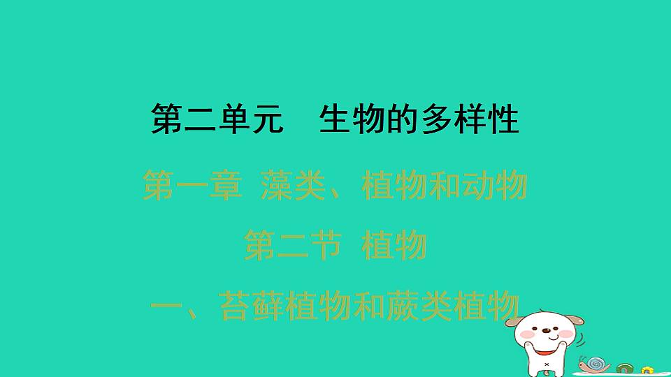 2025七年级生物上册第二单元第一章藻类植物和动物第二节植物第一课时苔藓植物和蕨类植物习题课件冀少版（含答案）第1页