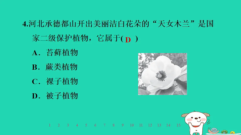 2025七年级生物上册第二单元第一章藻类植物和动物第二节植物第二课时种子植物习题课件冀少版（含答案）第6页
