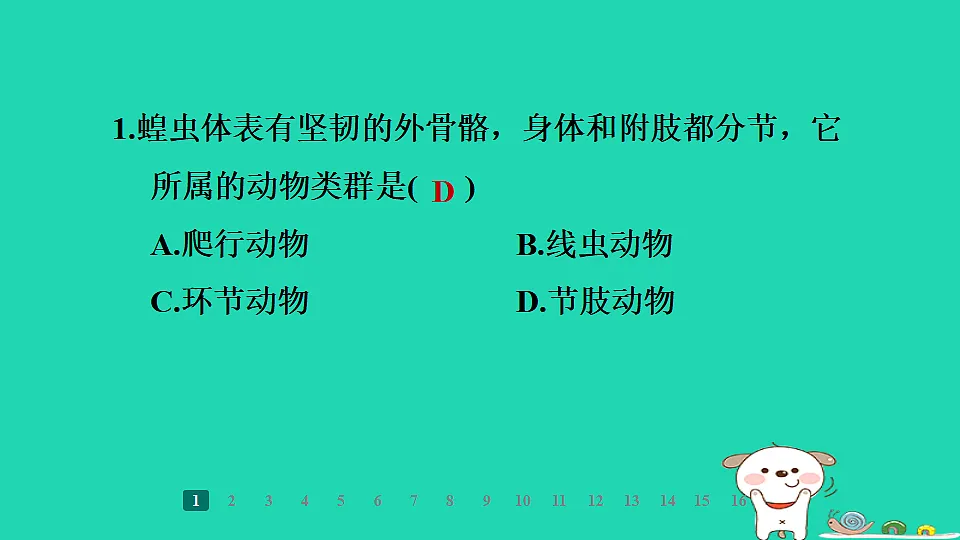 2025七年级生物上册第二单元第一章藻类植物和动物第三节无脊椎动物第二课时节肢动物习题课件冀少版（含答案）第3页