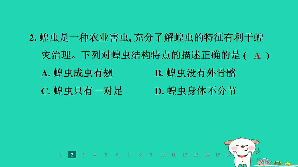 2025七年级生物上册第二单元第一章藻类植物和动物第三节无脊椎动物第二课时节肢动物习题课件冀少版（含答案）第4页