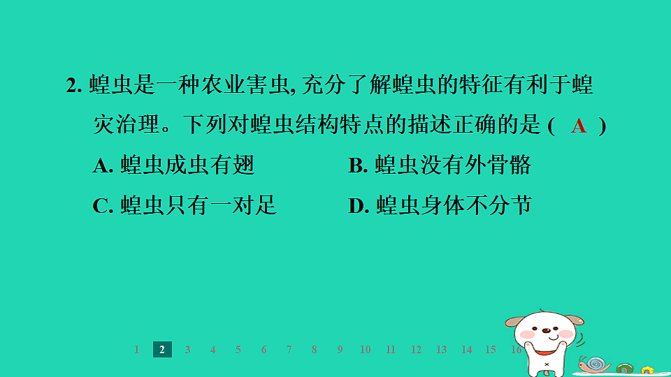 2025七年级生物上册第二单元第一章藻类植物和动物第三节无脊椎动物第二课时节肢动物习题课件冀少版（含答案）第4页