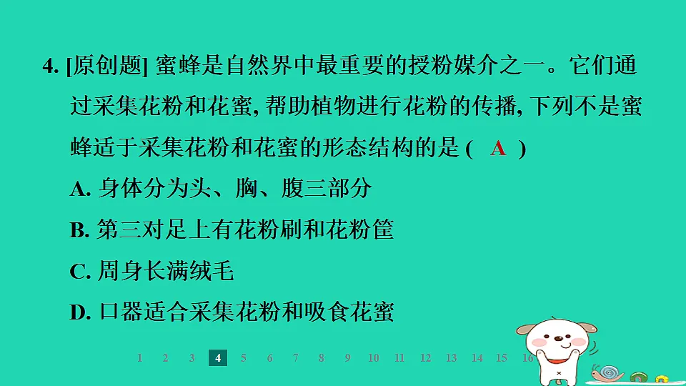 2025七年级生物上册第二单元第一章藻类植物和动物第三节无脊椎动物第二课时节肢动物习题课件冀少版（含答案）第6页