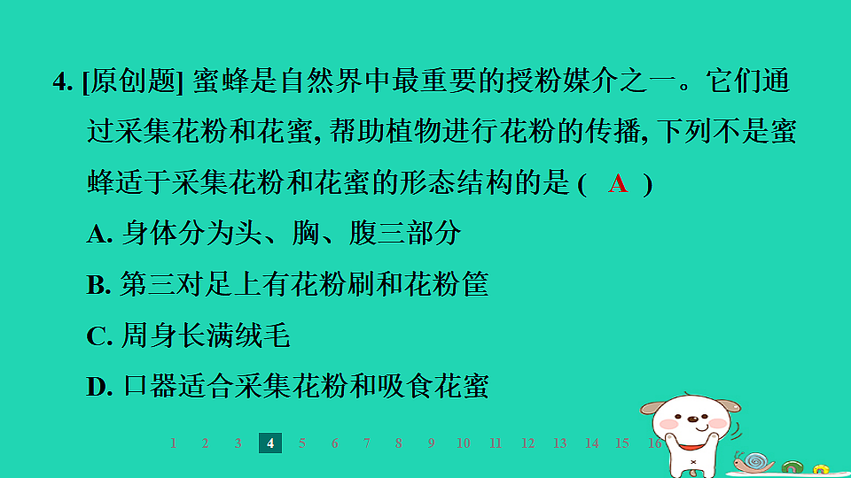 2025七年级生物上册第二单元第一章藻类植物和动物第三节无脊椎动物第二课时节肢动物习题课件冀少版（含答案）第6页