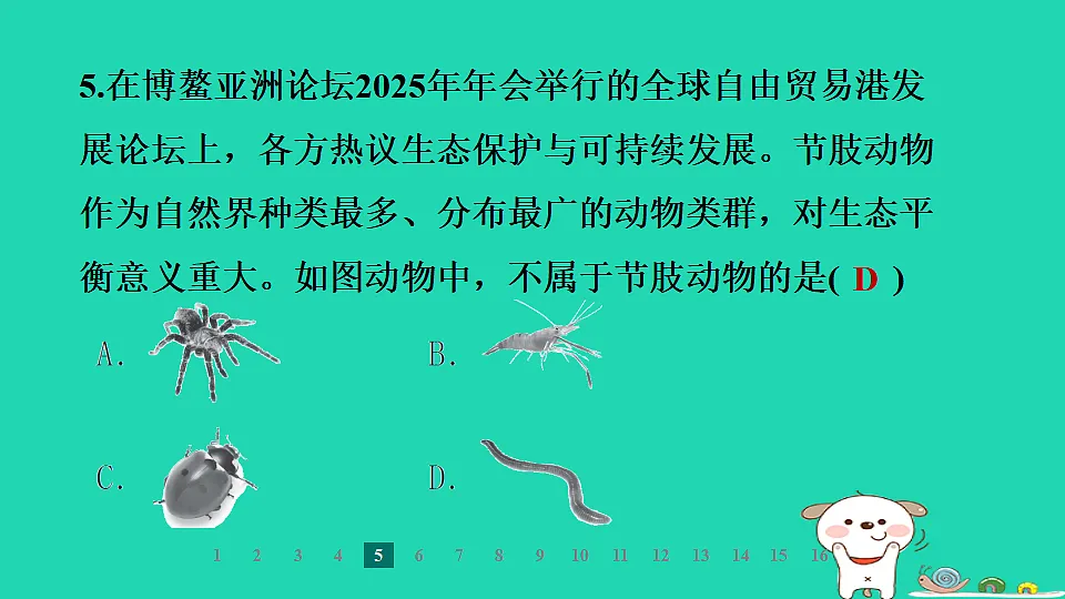 2025七年级生物上册第二单元第一章藻类植物和动物第三节无脊椎动物第二课时节肢动物习题课件冀少版（含答案）第7页