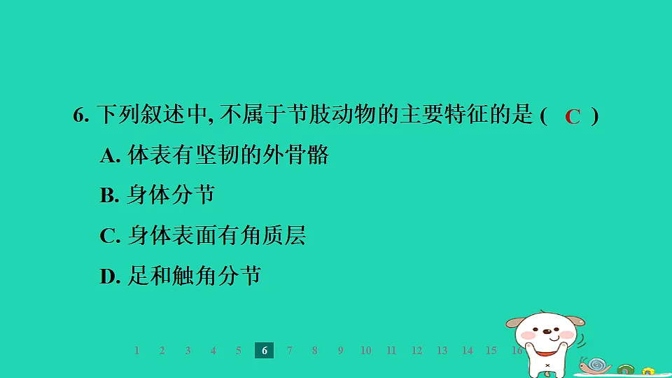 2025七年级生物上册第二单元第一章藻类植物和动物第三节无脊椎动物第二课时节肢动物习题课件冀少版（含答案）第8页
