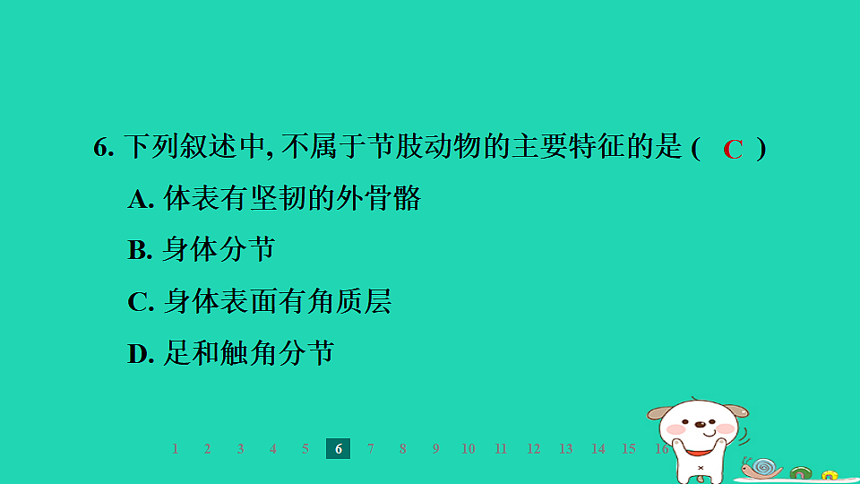 2025七年级生物上册第二单元第一章藻类植物和动物第三节无脊椎动物第二课时节肢动物习题课件冀少版（含答案）第8页