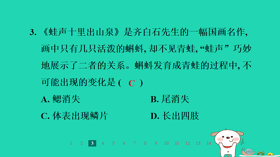 2025七年级生物上册第二单元第一章藻类植物和动物第四节脊椎动物第二课时两栖类和爬行类习题课件冀少版（含答案）第5页